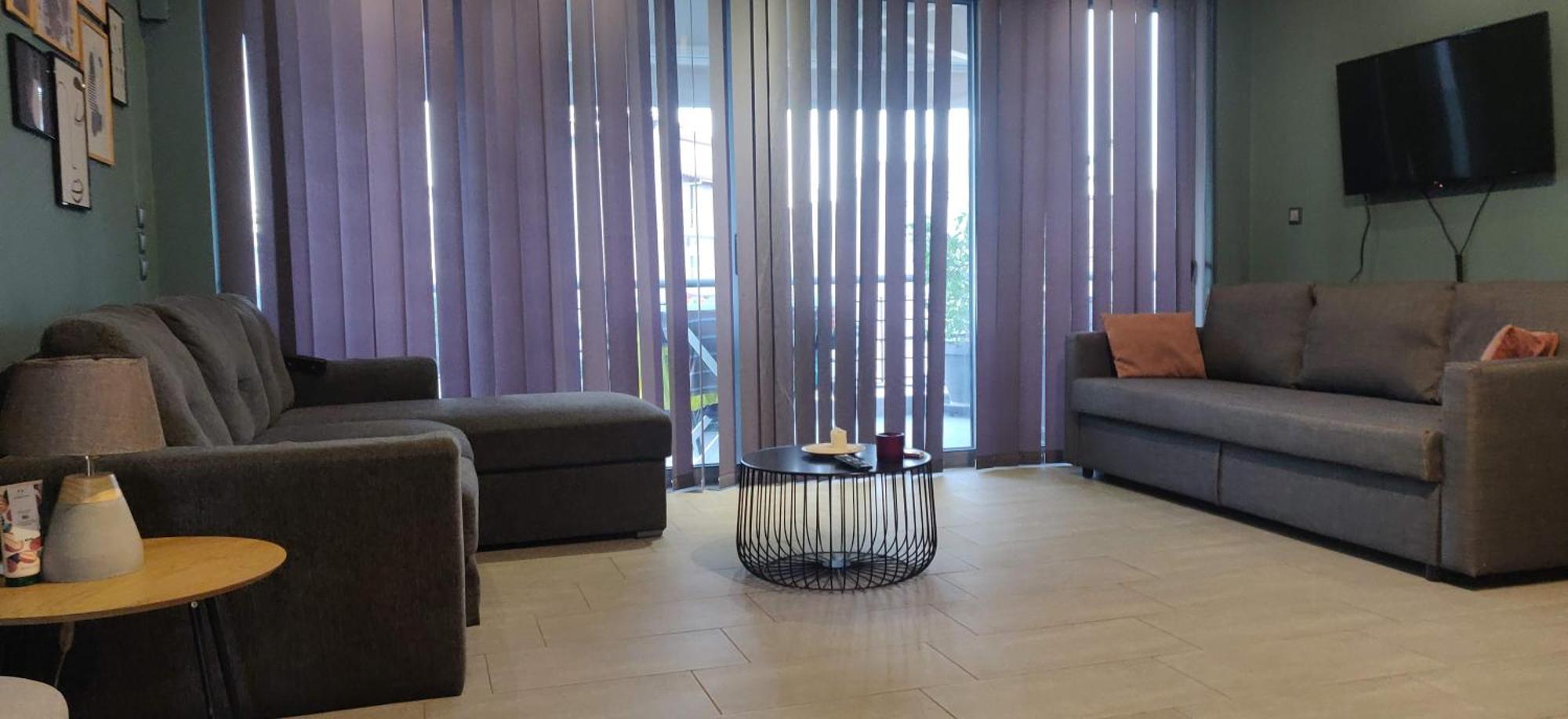 公寓 Elegant Bright With Acropolis View Terrace